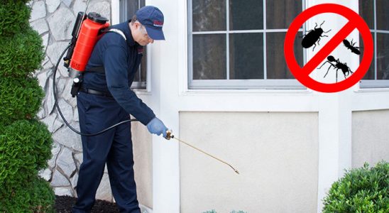 Yenipazar Dezenfeksiyon böcek ilaçlama ve haşere kontrolü — ilaclama-tr.com